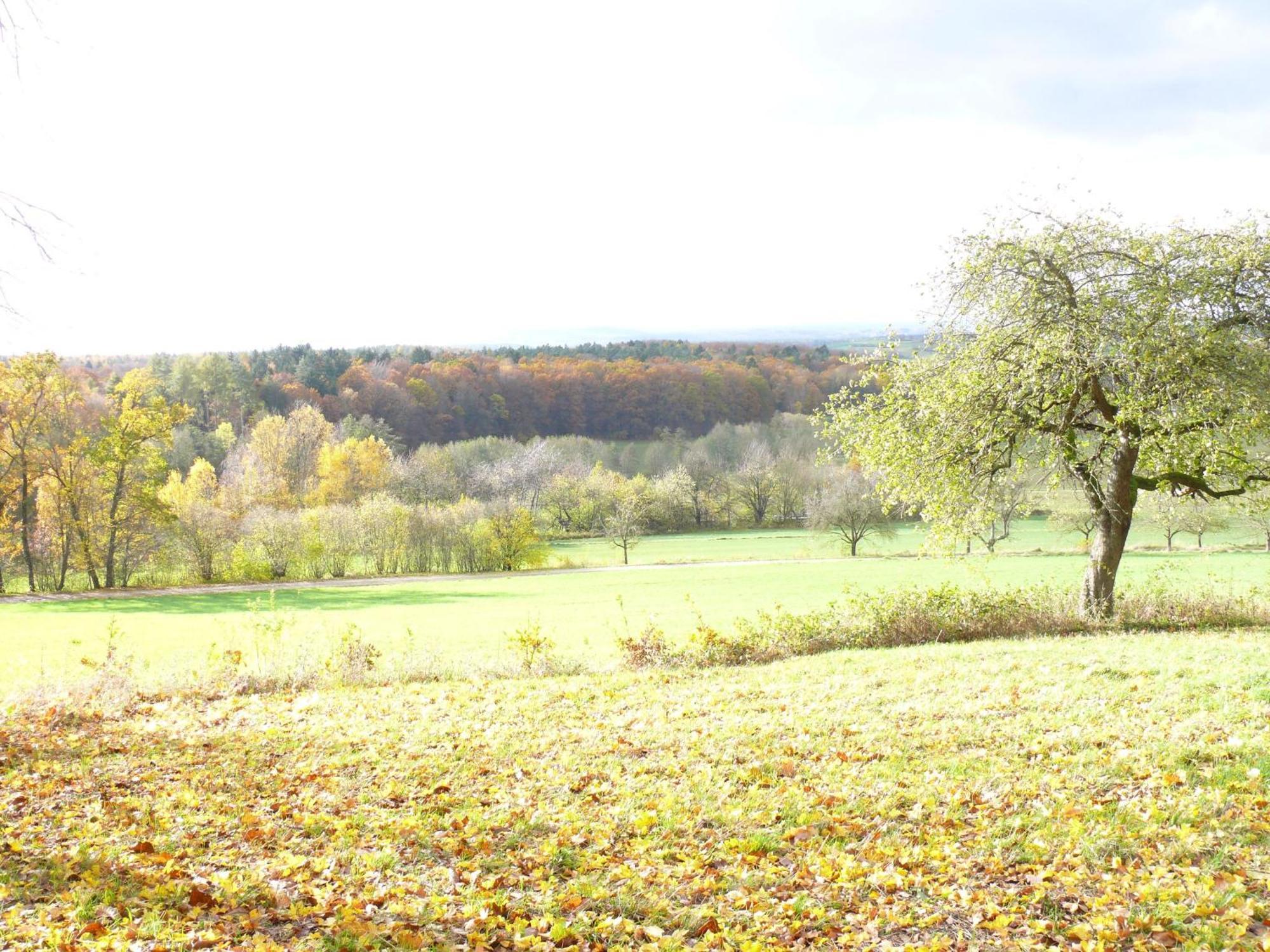 Ferienwohnungen Fischer Strullendorf ภายนอก รูปภาพ